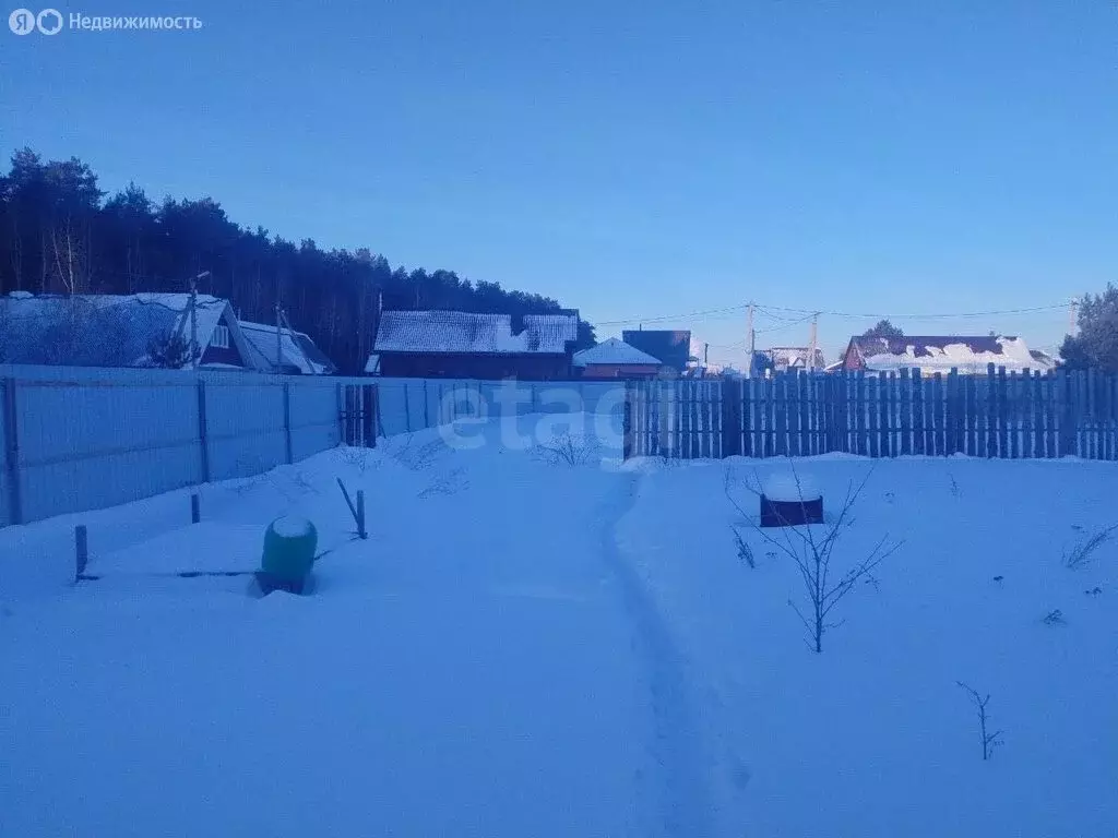 Участок в Тюменский муниципальный округ, ТСН Серебряный Бор плюс, ... - Фото 2