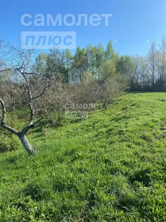 Участок в Владимирская область, Суздальский район, Боголюбовское ... - Фото 1