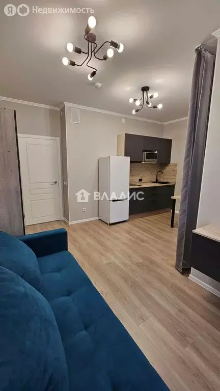 Квартира-студия: посёлок Шушары, улица Нины Петровой, 10к1 (24.9 м) - Фото 2