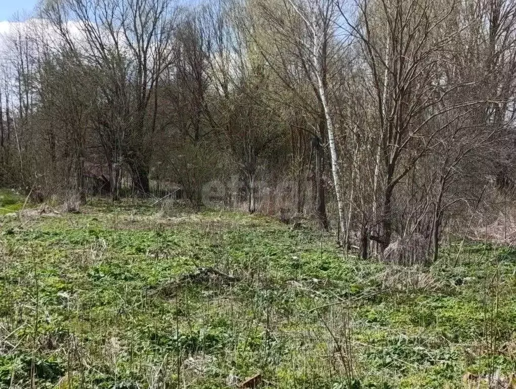 Участок в Калужская область, Козельск ул. Веденеева, 73 (13.88 сот.) - Фото 2