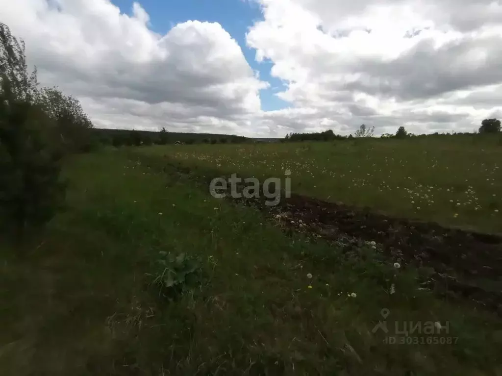 Участок в Свердловская область, с. Кайгородское  (20.0 сот.) - Фото 1