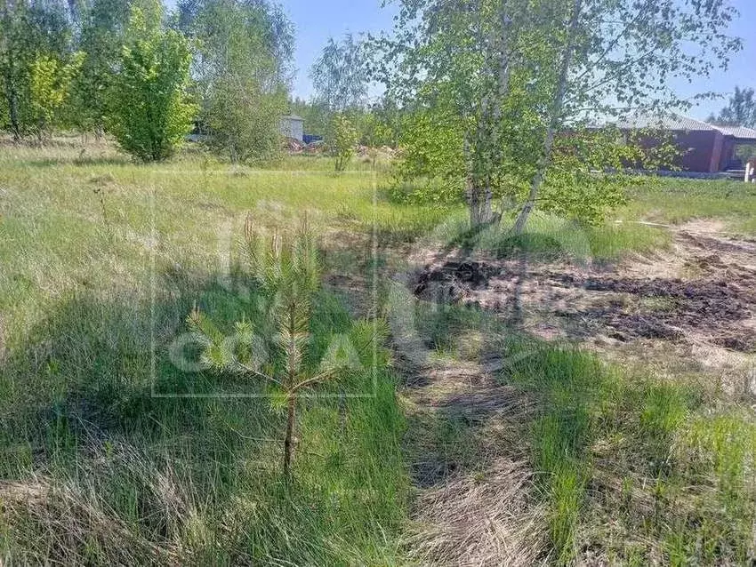 Участок 13,5 сот. (ИЖС) - Фото 1