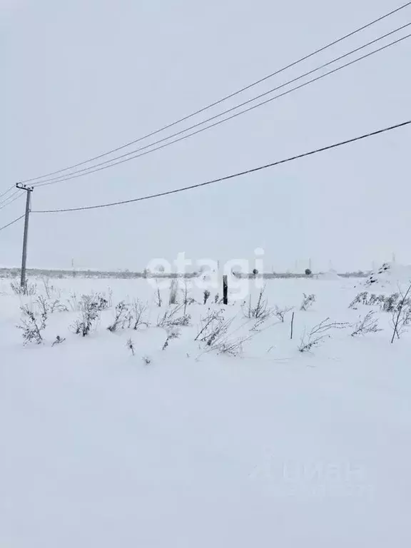 Участок в Алтайский край, Белокуриха ул. Норильская (11.3 сот.) - Фото 1