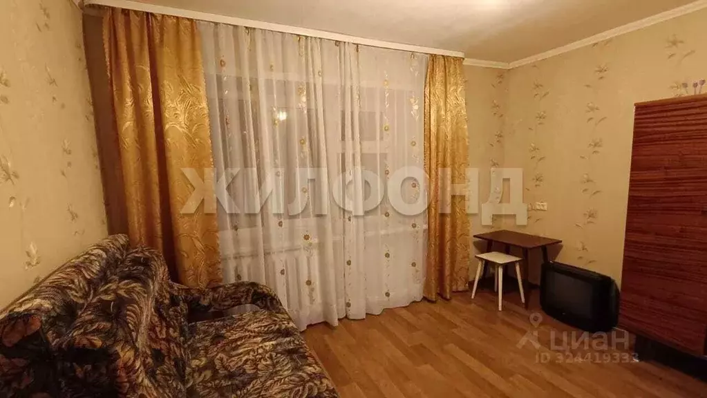 1-к кв. Новосибирская область, Новосибирск Дачная ул., 40/1 (18.0 м) - Фото 1