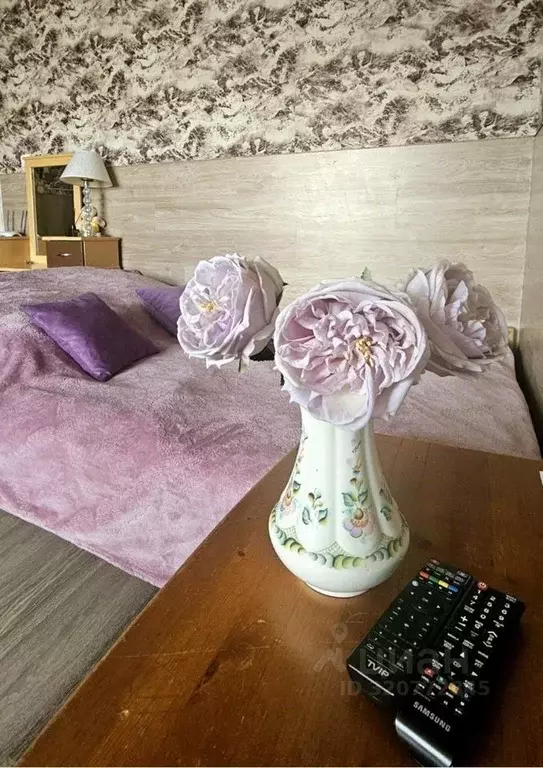 1-к кв. Карелия, Петрозаводск Лососинское ш., 21к9 (26.0 м) - Фото 1