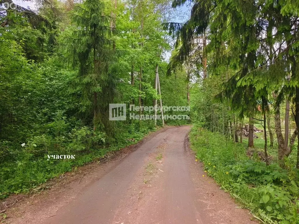 Участок в деревня Вартемяги, КП Вартемяги вилладж (8.68 м) - Фото 2