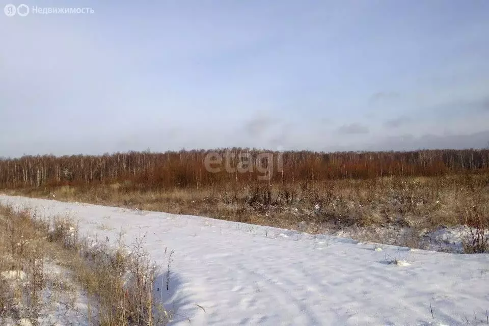 Участок в Стерлитамакский район, Красноярский сельсовет, село Новый ... - Фото 1