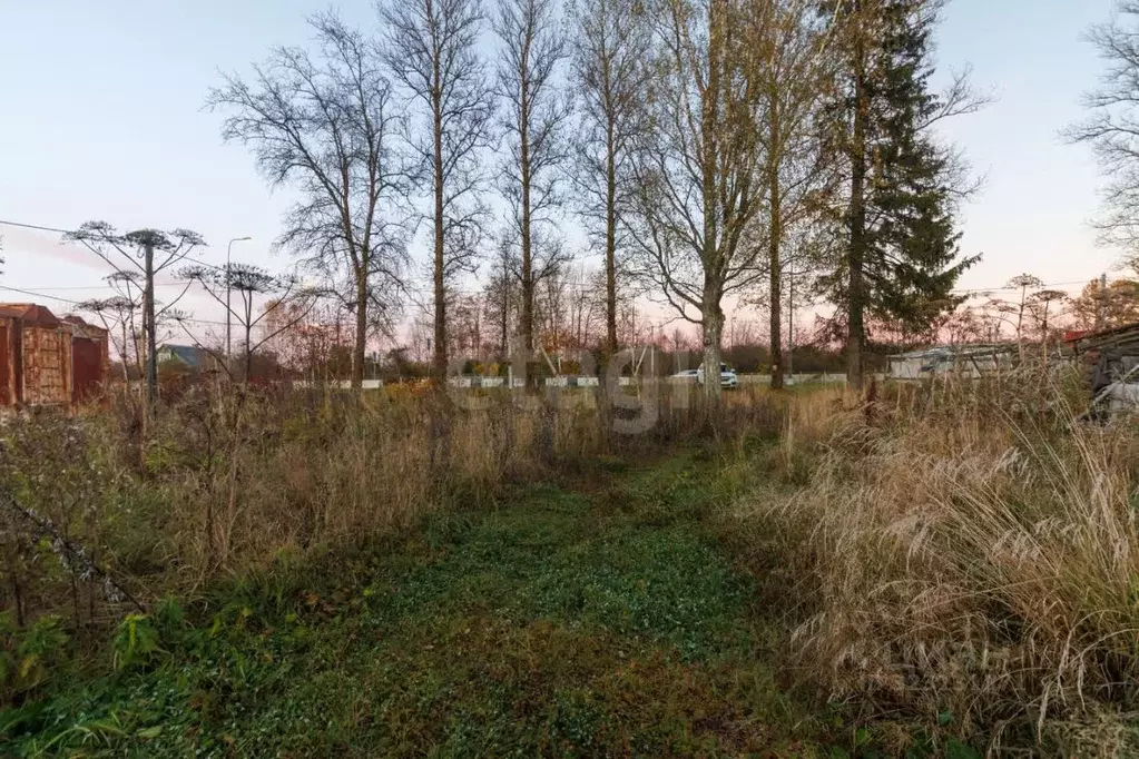 Участок в Ленинградская область, Любань Тосненский район, Московское ... - Фото 1