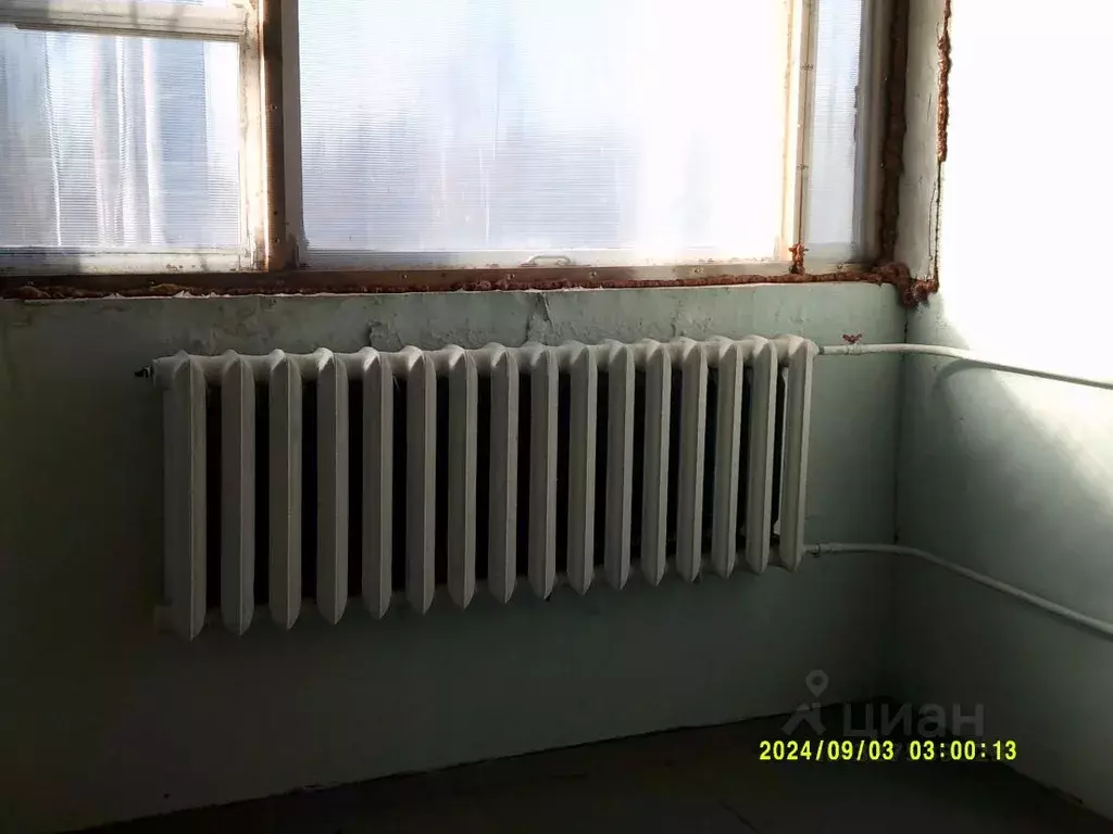 Помещение свободного назначения в Новосибирская область, Новосибирск ... - Фото 1