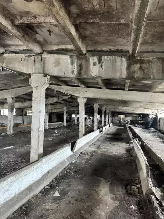 Помещение свободного назначения в Московская область, Раменский ... - Фото 0