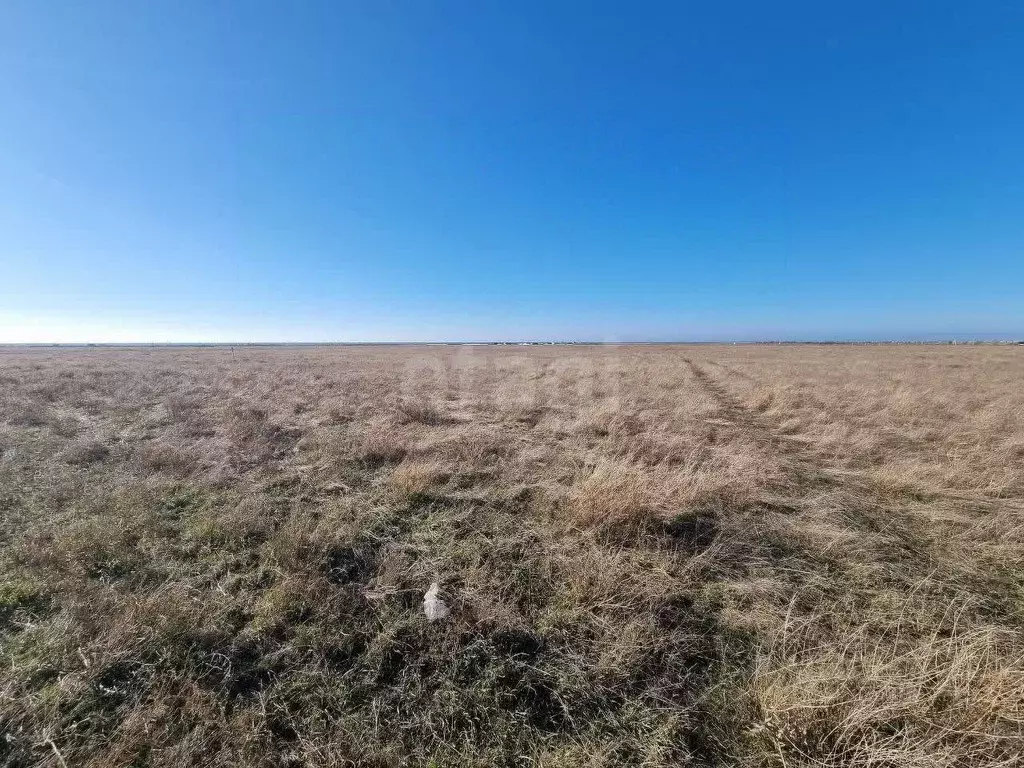 Участок в Крым, Сакский район, Молочненское с/пос, с. Витино  (6.0 ... - Фото 1