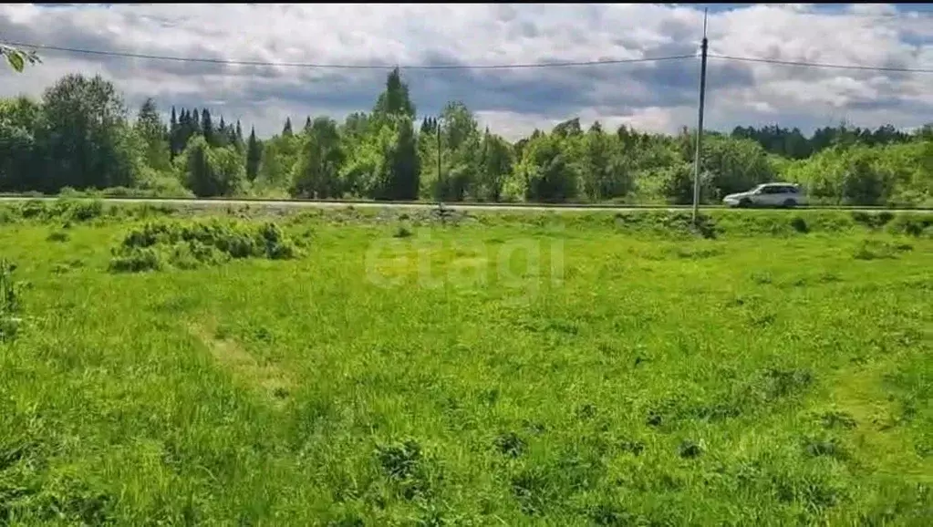Участок в Алтай, Турочакский район, с. Дмитриевка  (29.0 сот.) - Фото 1