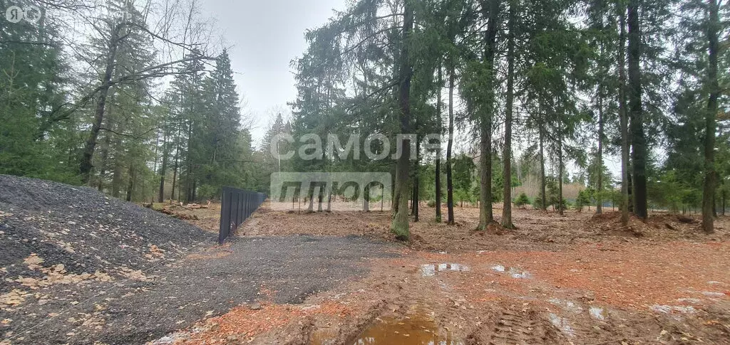 Участок в Наро-Фоминский городской округ (6.75 м) - Фото 0