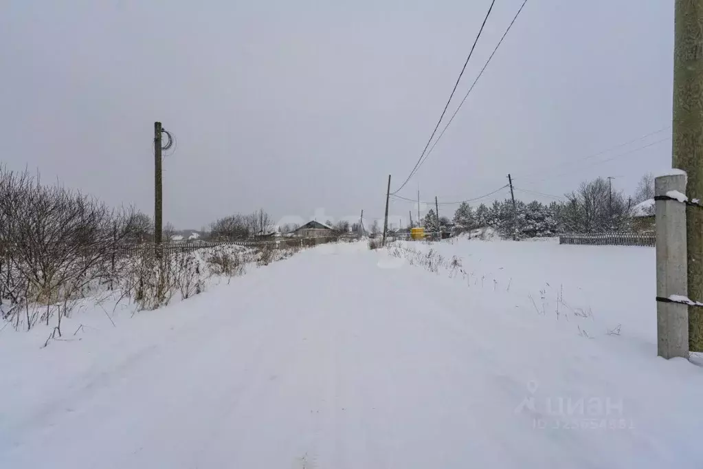 Участок в Пермский край, Пермский муниципальный округ, д. Гамы ул. ... - Фото 1