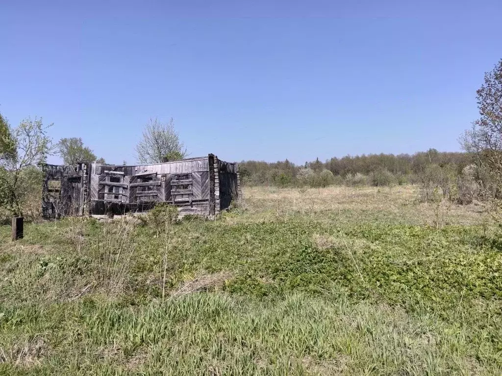 Участок в Брянская область, Брянский район, с. Журиничи Колхозная ул., ... - Фото 2