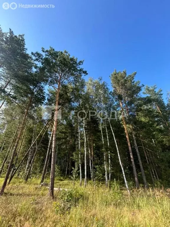 Участок в Московская область, городской округ Балашиха, село Новый ... - Фото 1