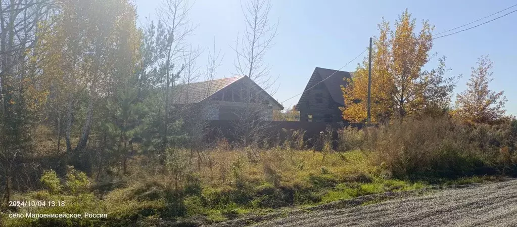 Участок в Алтайский край, Бийский район, с. Малоенисейское ул. ... - Фото 0