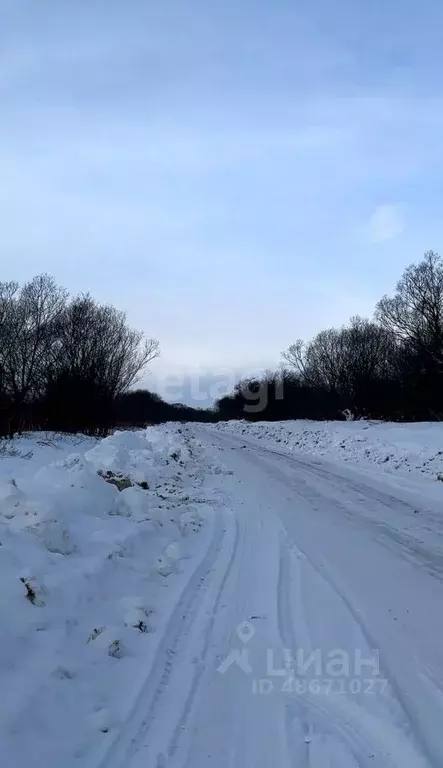 Участок в Сахалинская область, Анивский городской округ, с. Мицулевка  ... - Фото 0