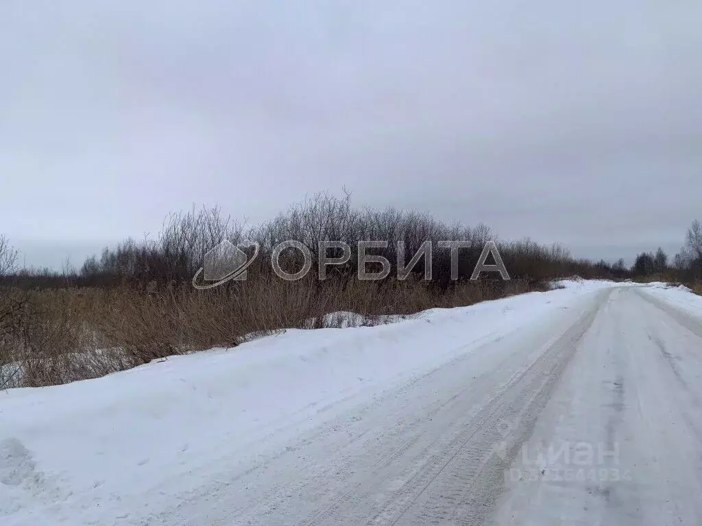 Участок в Тюменская область, Тюмень  (10.0 сот.) - Фото 1