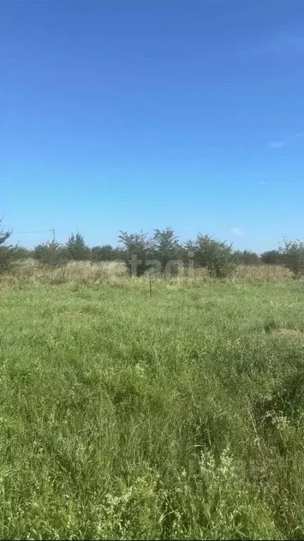 Участок в Калининградская область, Гурьевский муниципальный округ, ... - Фото 1