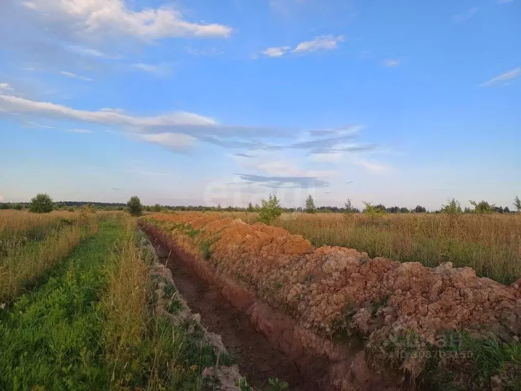 Участок в Вологодская область, Шексна рп  (11.53 сот.) - Фото 0