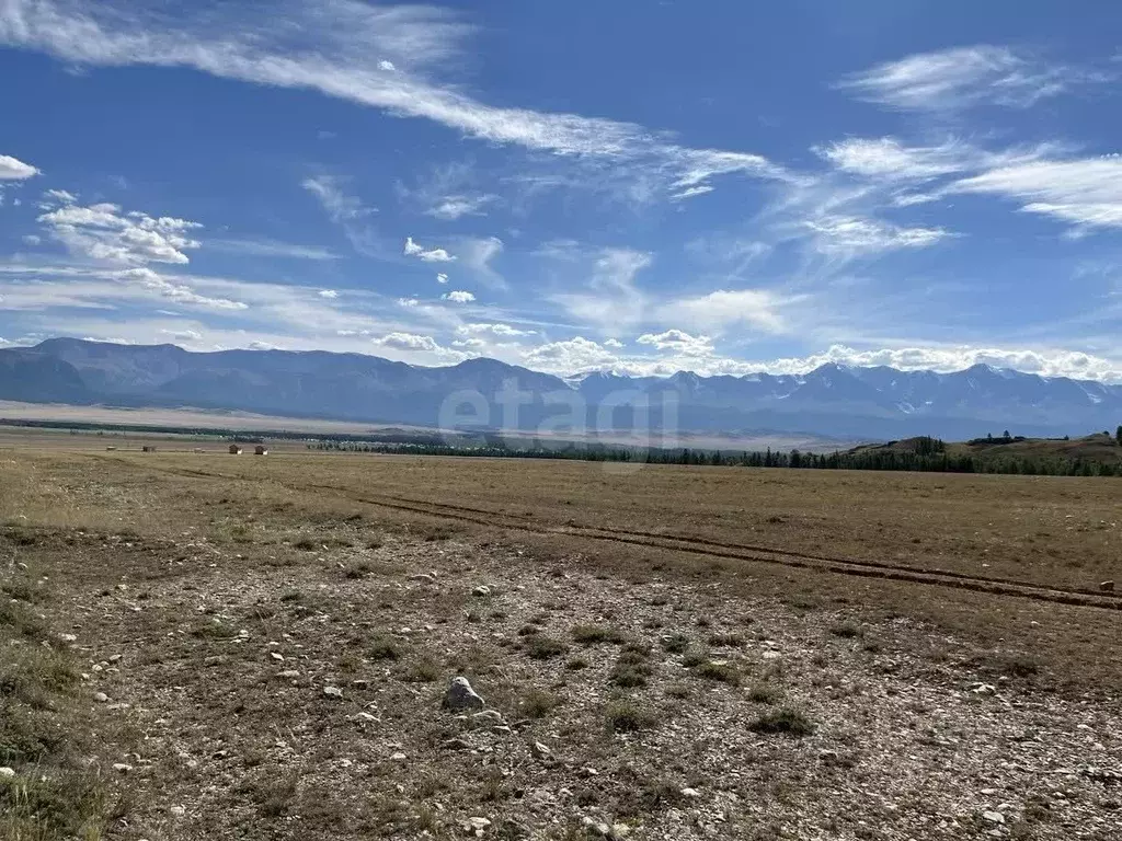 Участок в Алтай, Кош-Агачский район, с. Курай  (19.88 сот.) - Фото 1