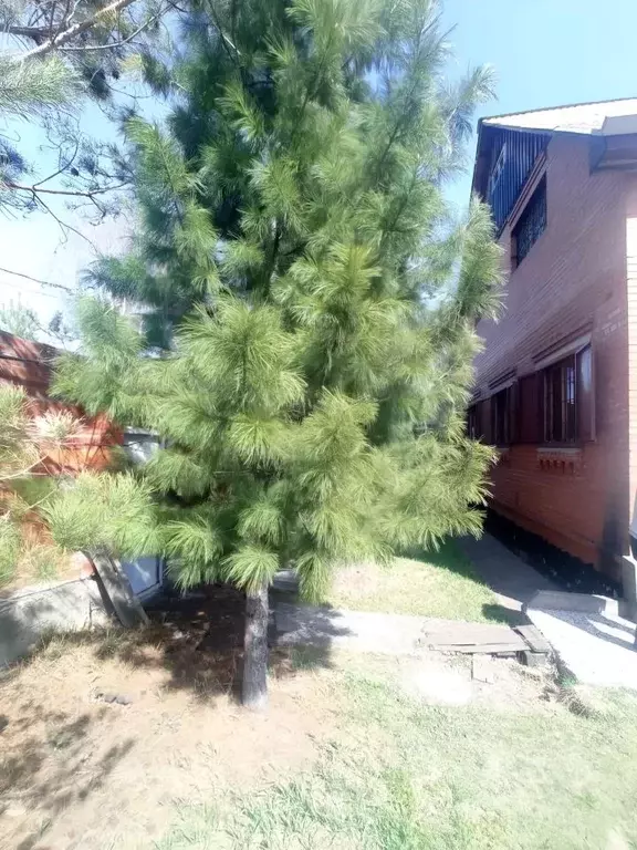 Дом в Красноярский край, Красноярск городской округ, д. Бугачево ул. ... - Фото 1