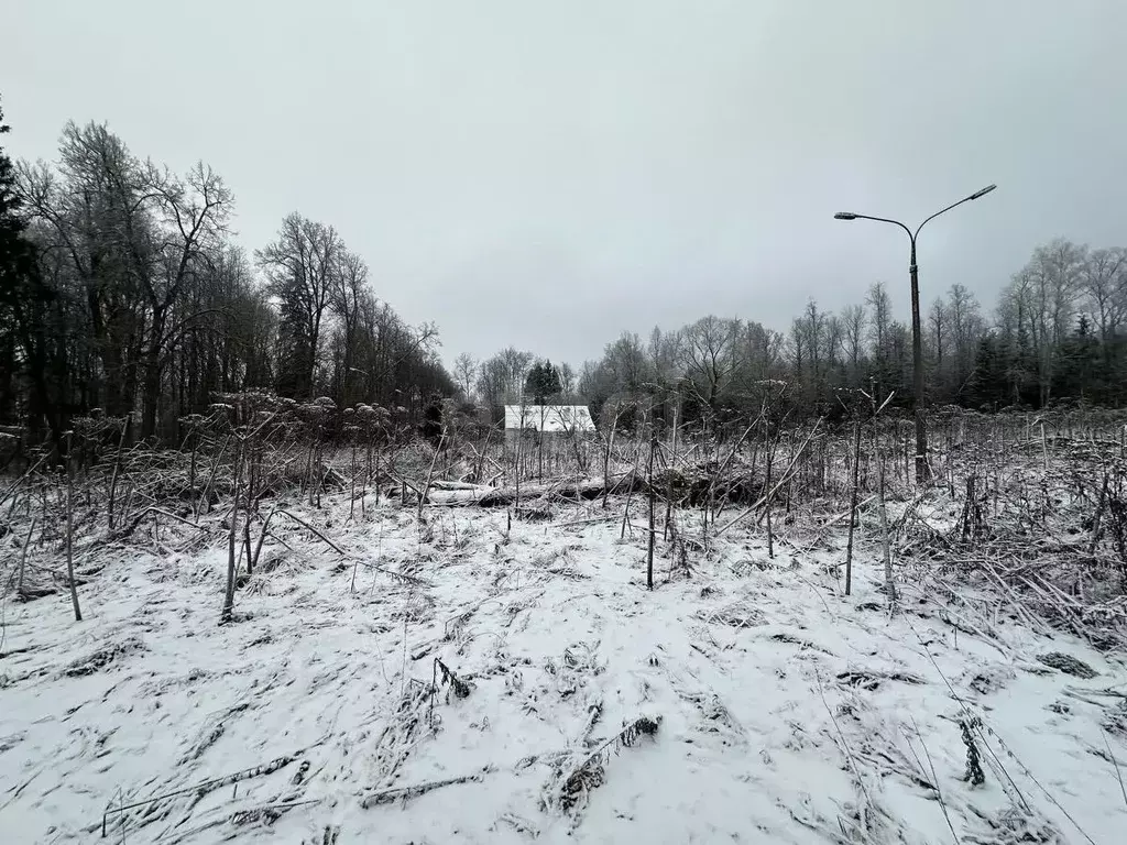 Участок в Москва № 307 кв-л, 1 (280.0 сот.) - Фото 1