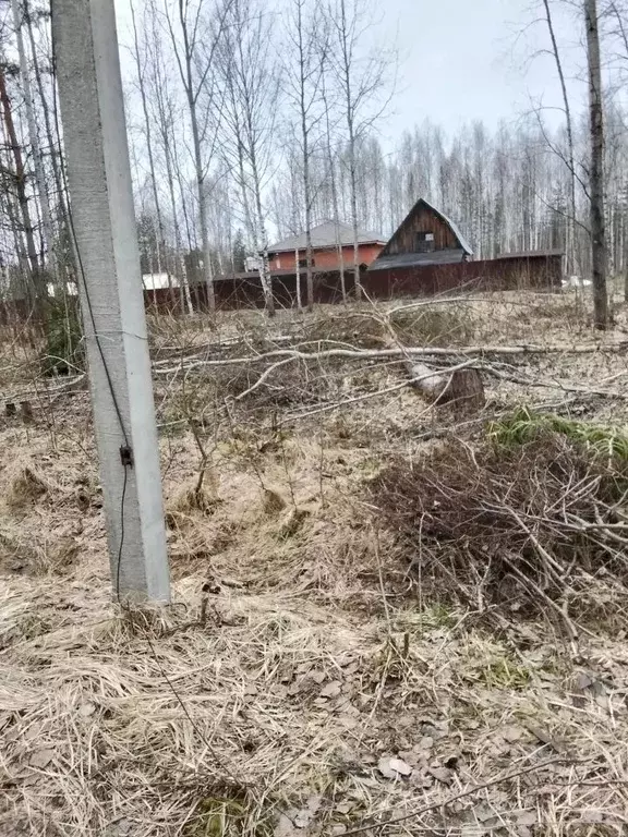 Участок в Тверская область, Калининский муниципальный округ, Эдельвейс ... - Фото 2