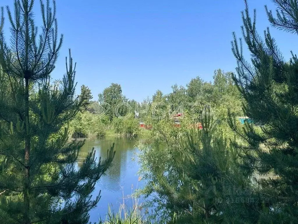 Дом в Тюменская область, Нижнетавдинский район, Лесная сказка СНТ ул. ... - Фото 1