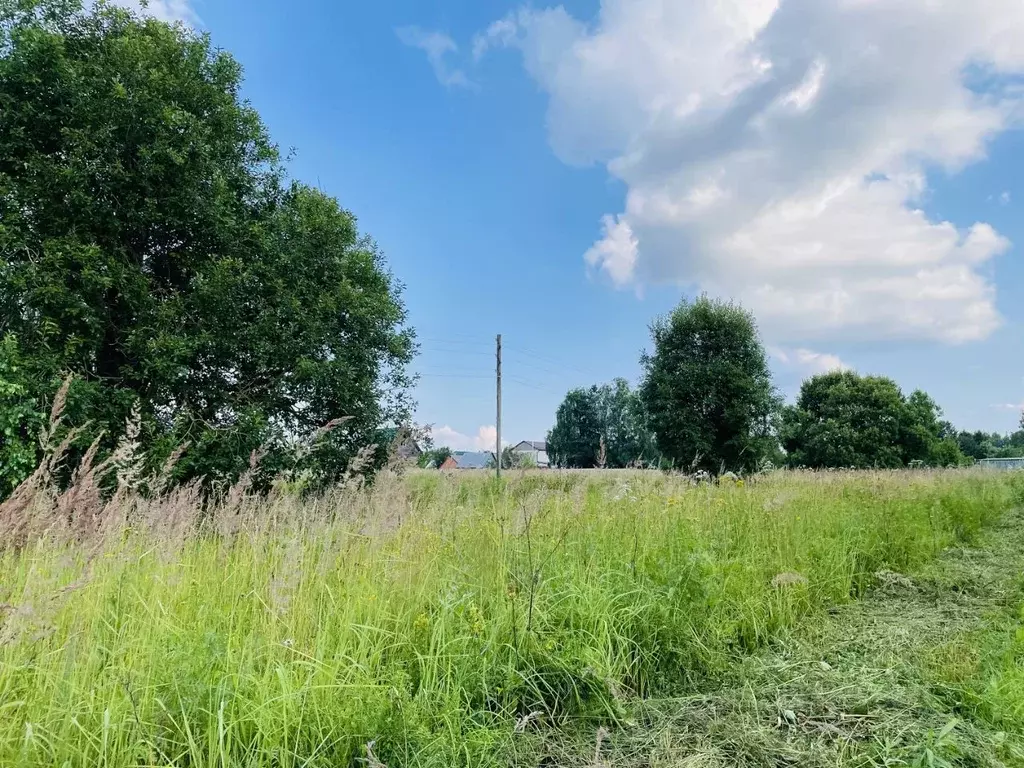 Участок в Владимирская область, Александровский муниципальный округ, ... - Фото 1