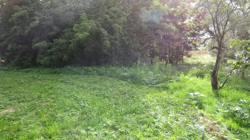 Участок в Московская область, Рузский муниципальный округ, д. ... - Фото 1