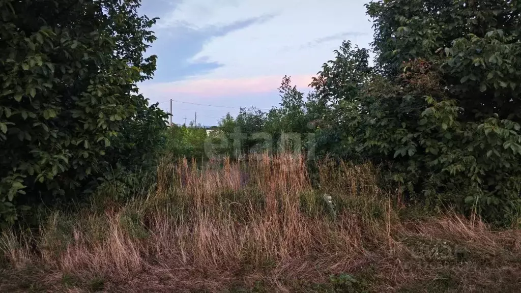 Участок в Краснодарский край, Анапа муниципальный округ, с. Юровка ул. ... - Фото 1
