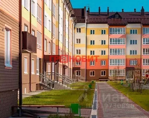 3-к кв. Новосибирская область, Новосибирский район, Мичуринский ... - Фото 0