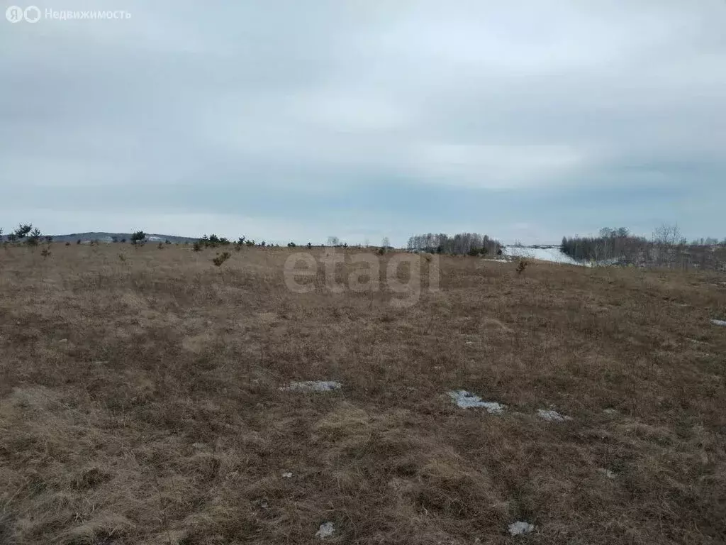Участок в Красноярск (100 м) - Фото 2