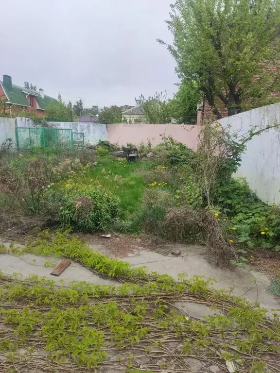Участок в Ростовская область, Ростов-на-Дону пос. Чкаловский, пер. ... - Фото 1