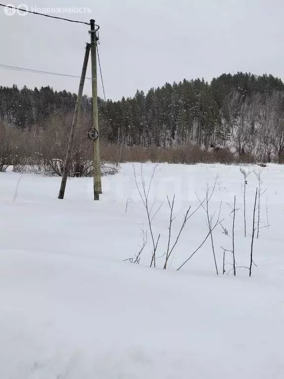 Участок в Майминский район, посёлок Филиал, улица Мира (10 м) - Фото 0