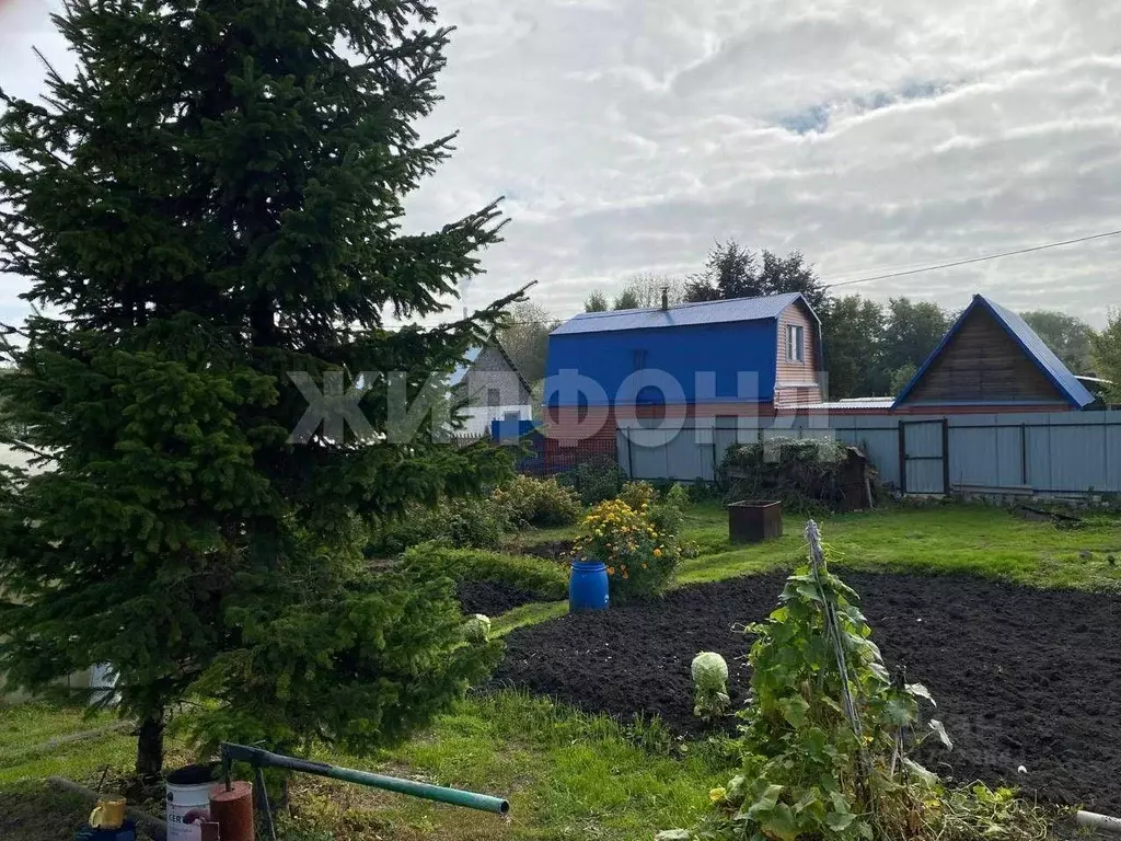 Дом в Новосибирская область, Новосибирский район, Верх-Тулинский ... - Фото 2