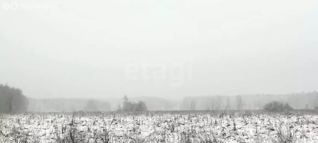 Участок в Владимирская область, городской округ Покров, деревня ... - Фото 1