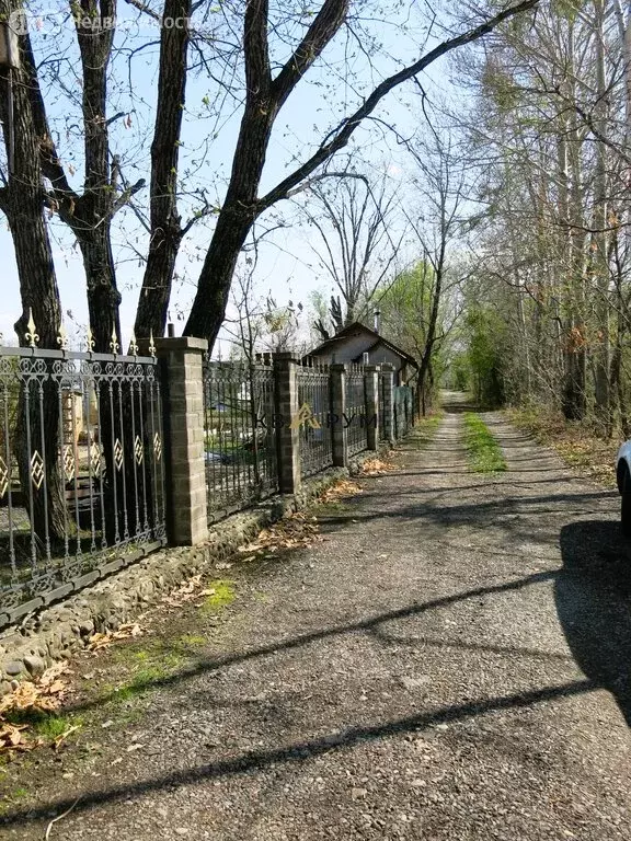 Участок в Смидовичский район, СНТ Дубки (10 м) - Фото 0