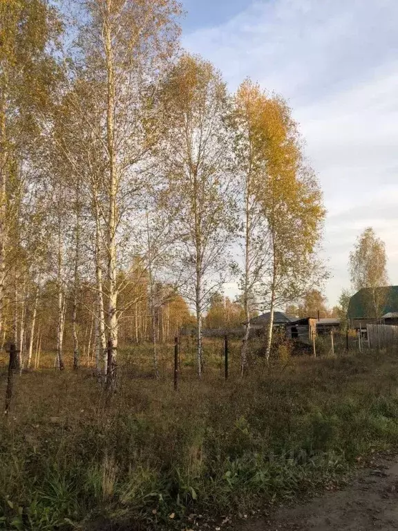 Участок в Курганская область, Кетовский муниципальный округ, д. Лукино ... - Фото 1