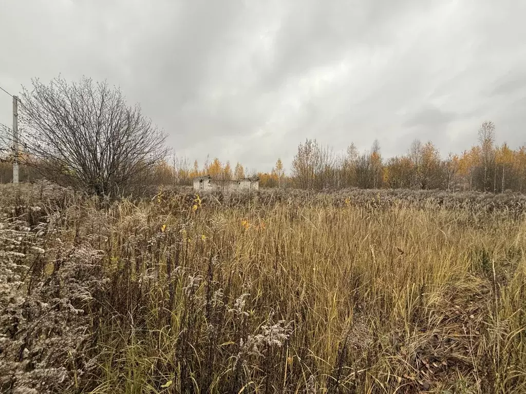 Участок в Брянская область, Брянский район, Добрунское с/пос, БЭМЗ СДТ ... - Фото 2