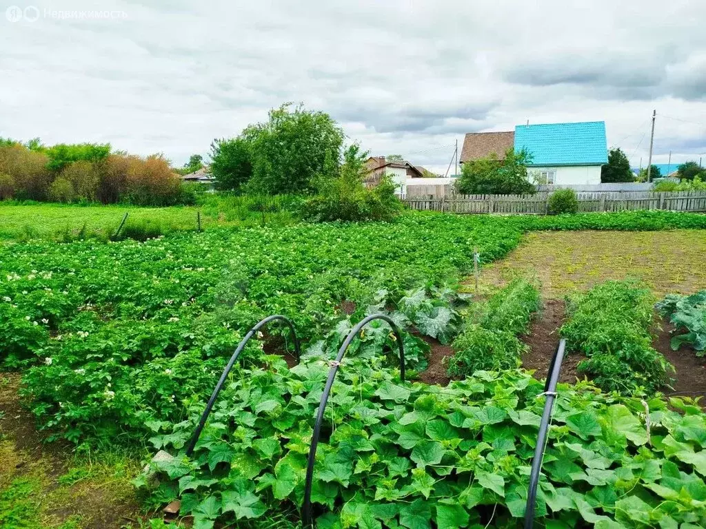Дом в Курганская область, село Мокроусово (95.5 м) - Фото 1