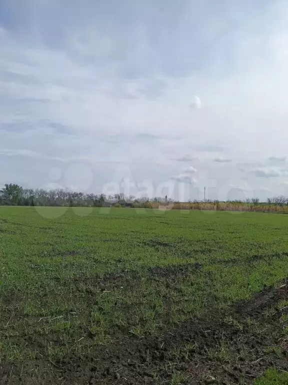 Участок 6,9 сот. (СНТ, ДНП) - Фото 0