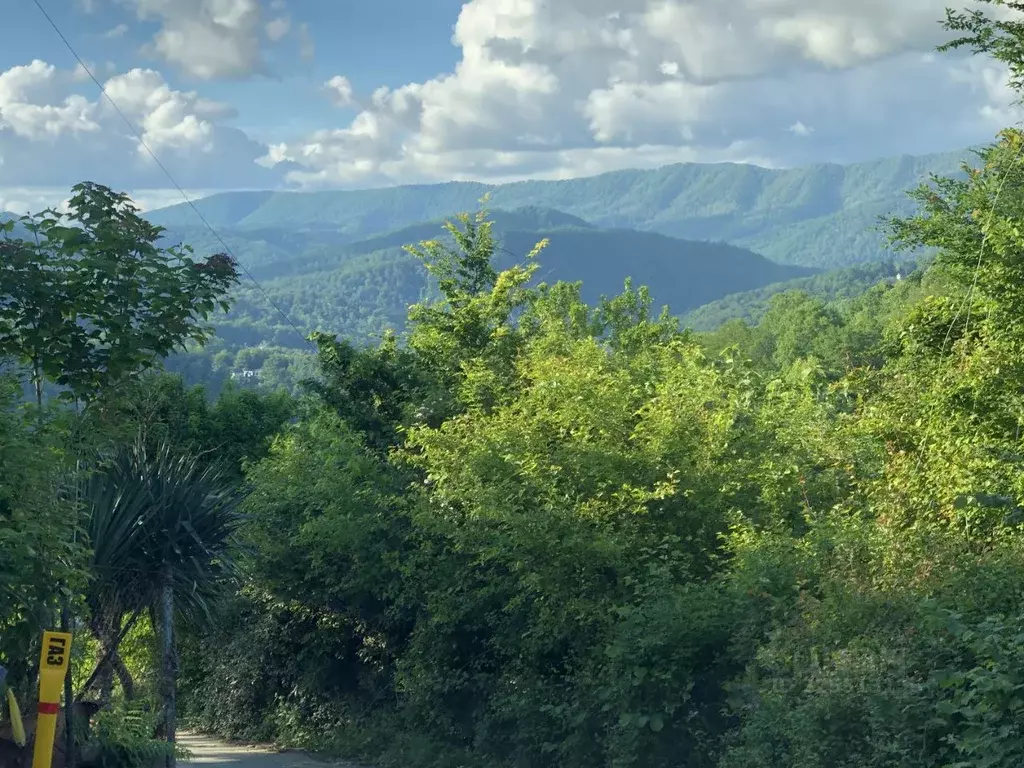 Участок в Краснодарский край, Сочи городской округ, с. Пластунка, ... - Фото 2