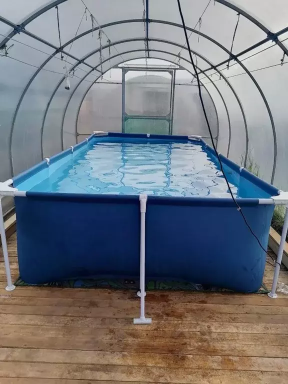 Дом в Иркутская область, Качуг рп ул. Сибирская, 8 (66 м) - Фото 1