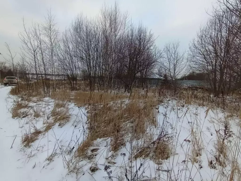 Участок в Московская область, Коломна городской округ, с. Шеметово  ... - Фото 0