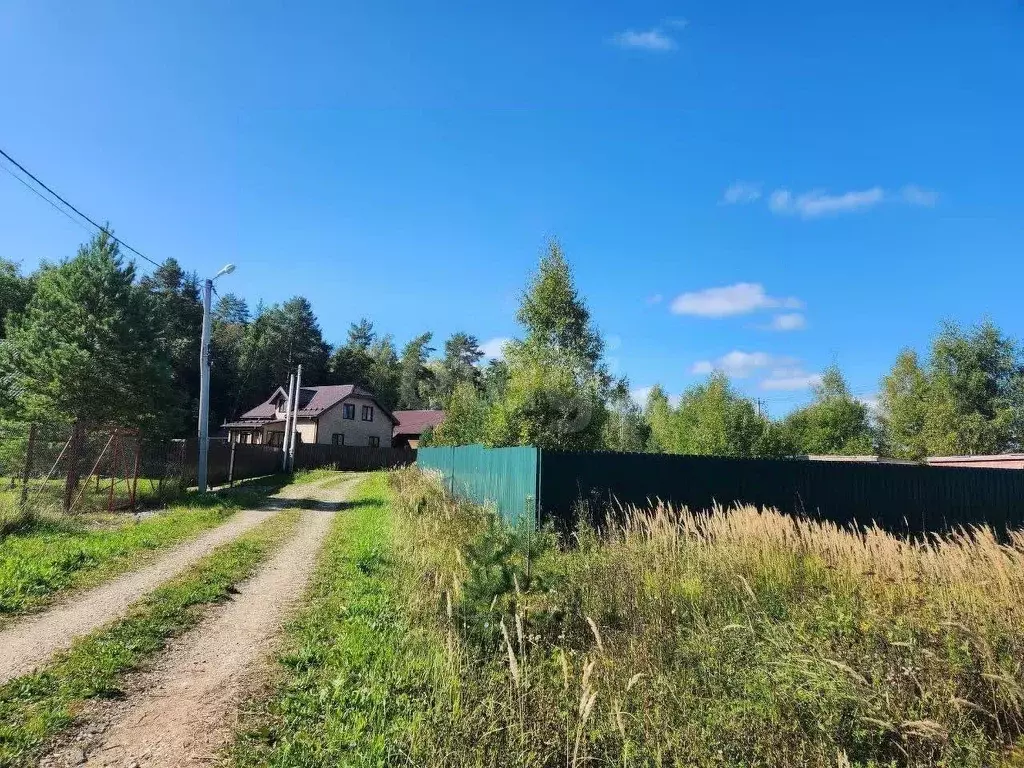 Участок в Владимирская область, Александровский район, Андреевское ... - Фото 1