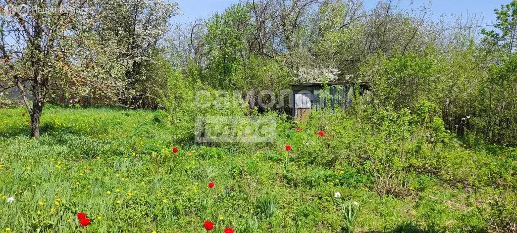 Участок в Пенза (8.5 м) - Фото 1