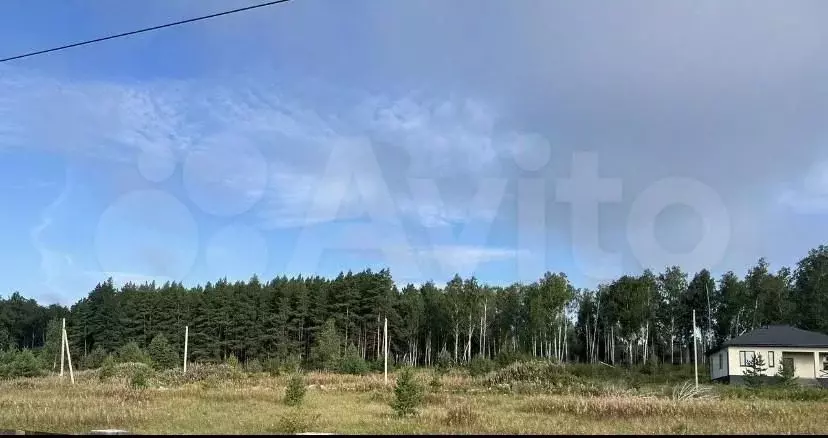 Участок в Челябинская область, Сосновский муниципальный округ, Ясное ... - Фото 1